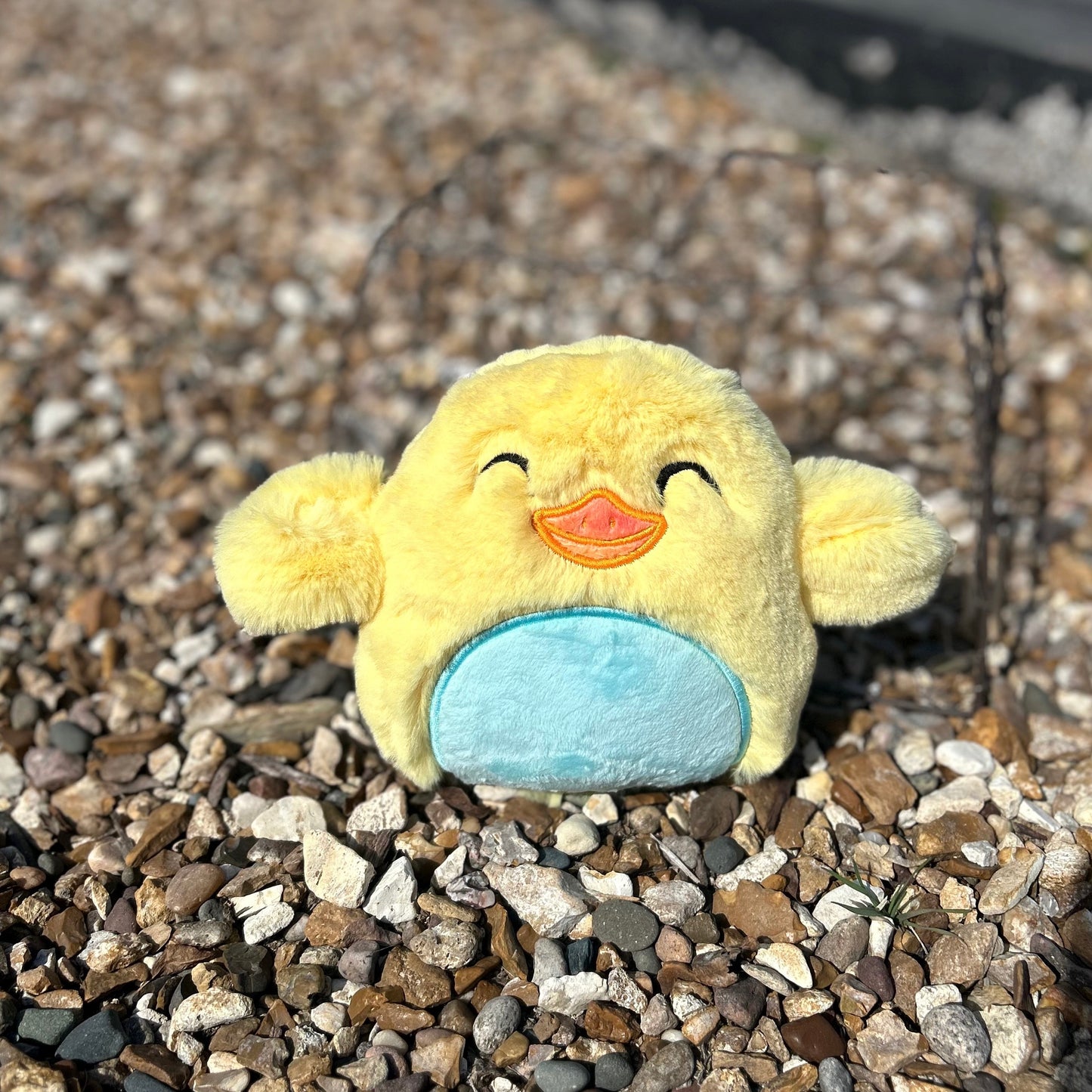 Squishy Duck Stuffie