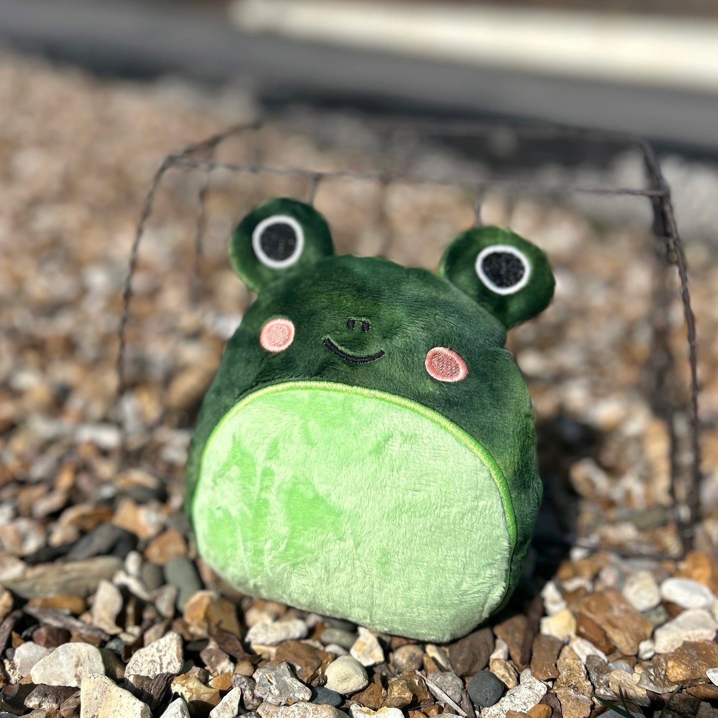 Squishy Frog Stuffie