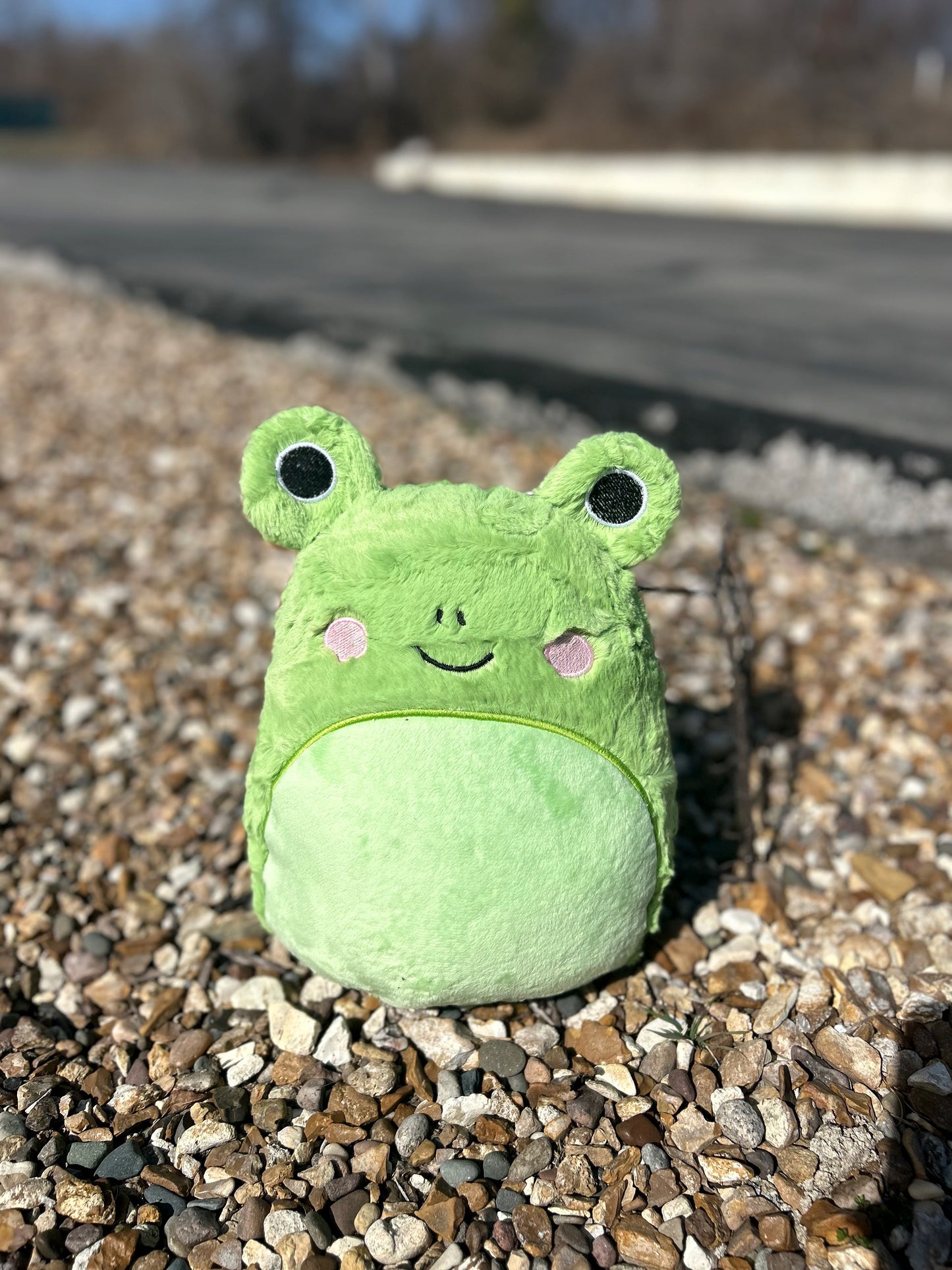 Squishy Frog Stuffie