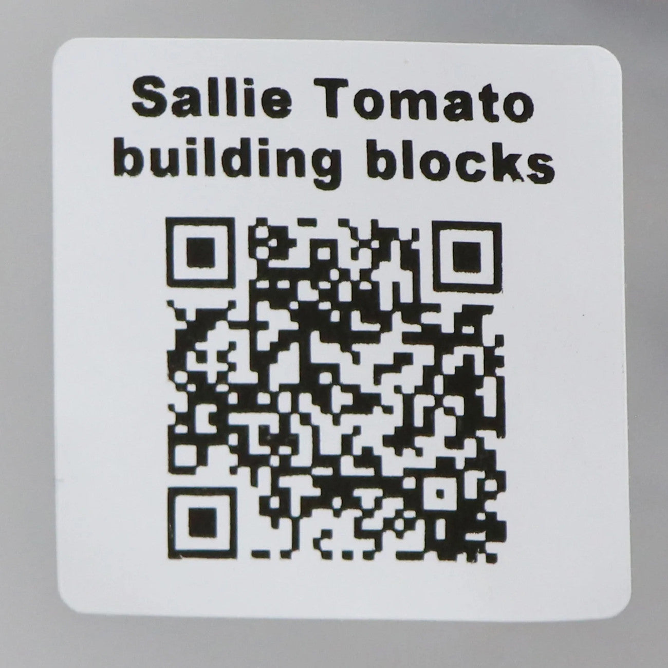 Sallie Tomato Vintage Sewing Machine Building Block Set