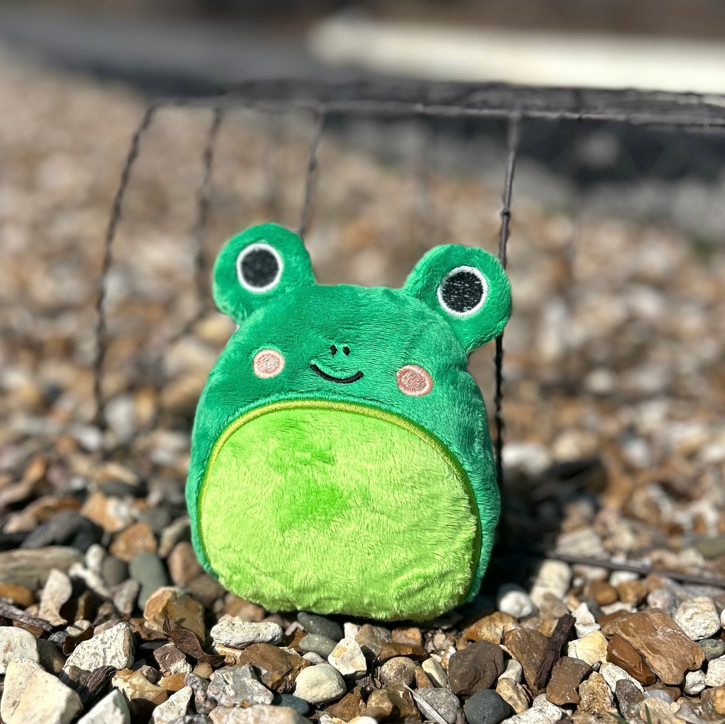 Squishy Frog Stuffie