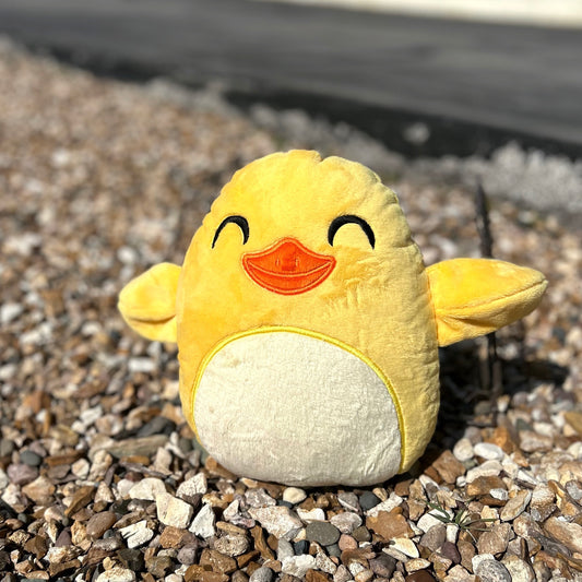 Squishy Duck Stuffie