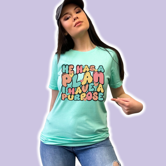 He Has a Plan, I Have a Purpose Graphic Tee